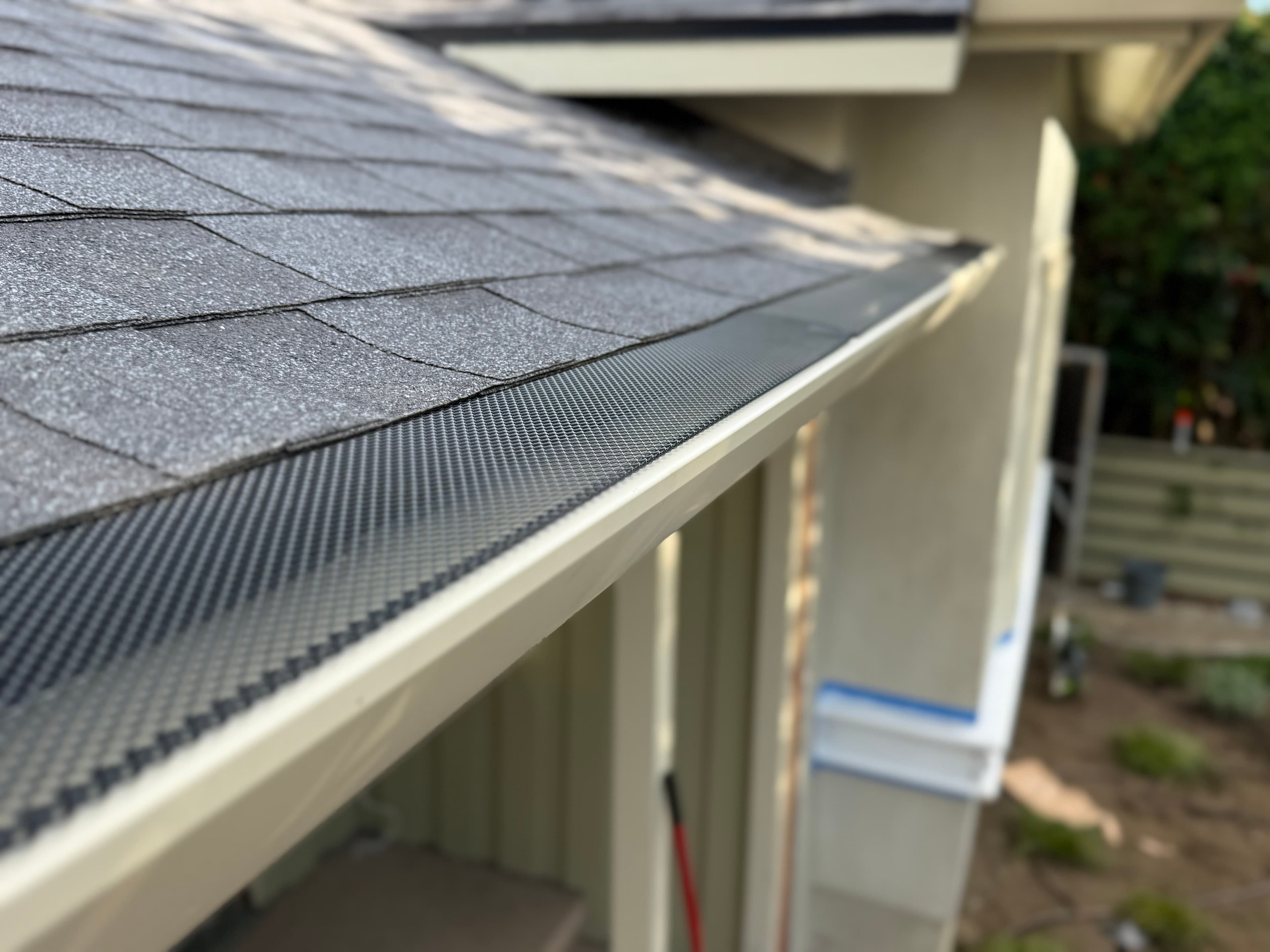 Leaf Guard Protection